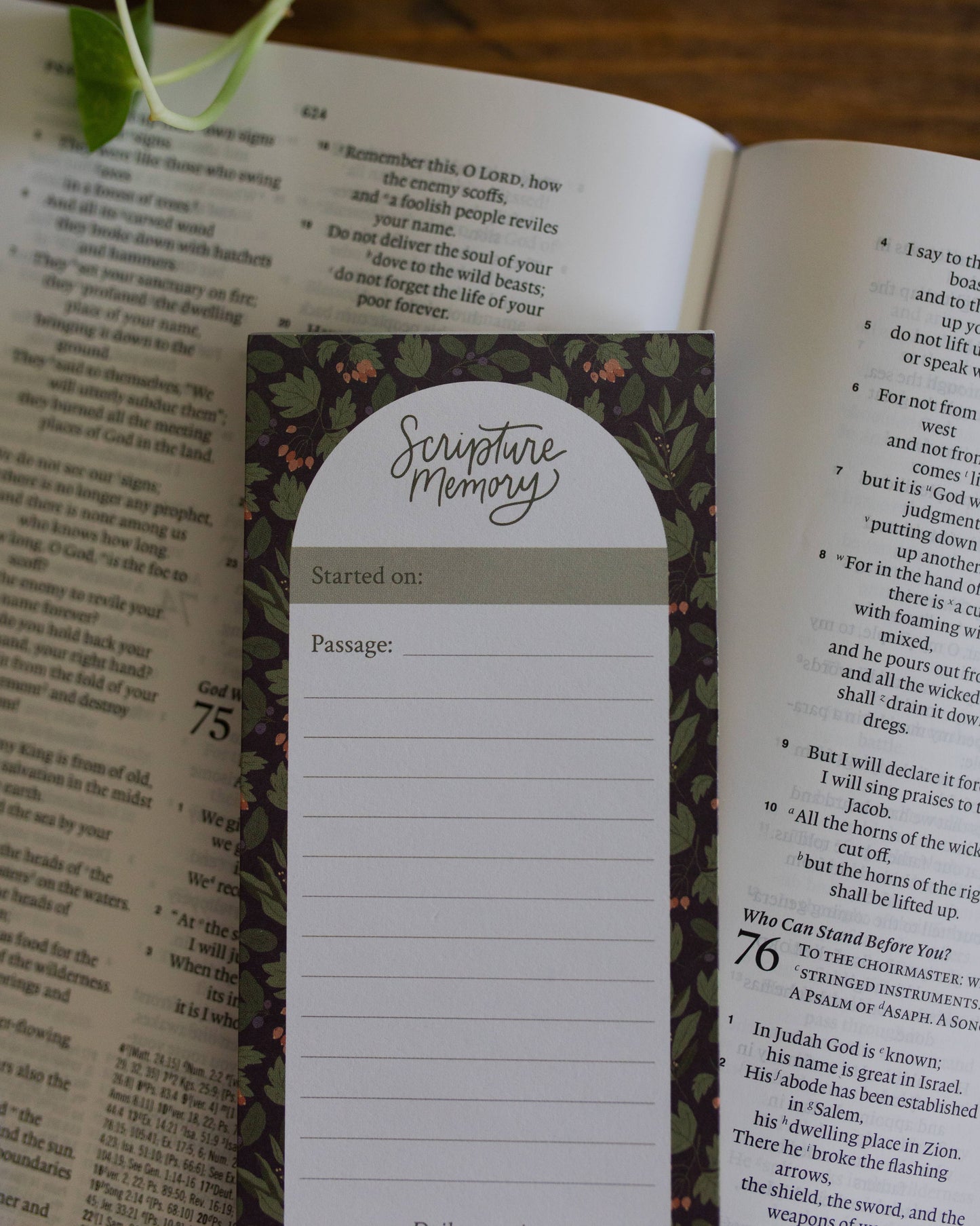 Inkberry Scripture Memory Notepad | 50 sheets