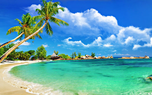 Beach & Beech